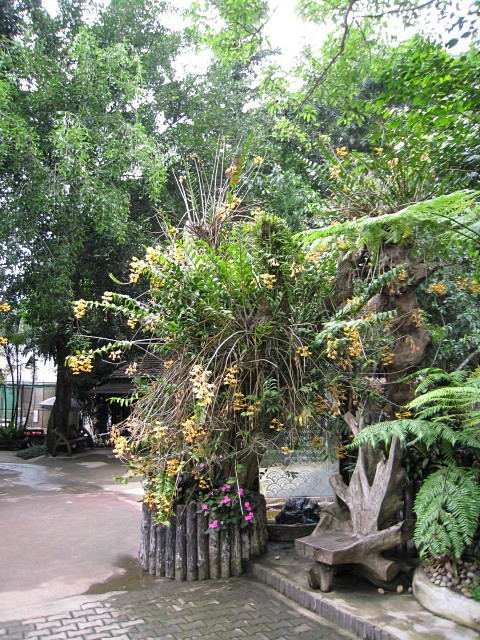 gallery105