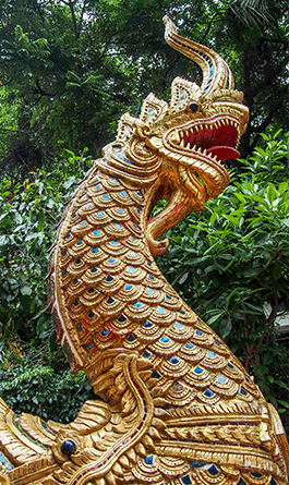 naga